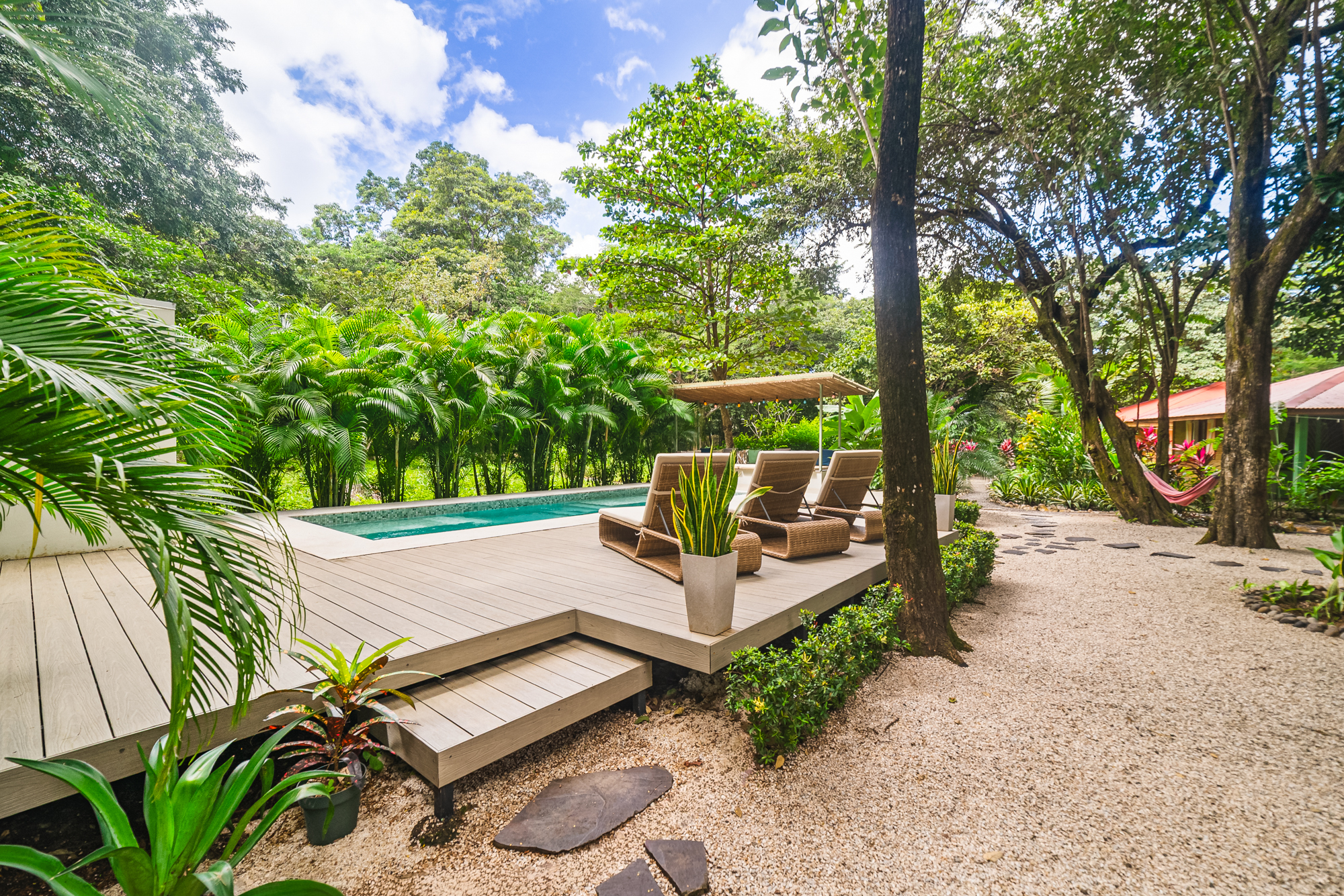 Pool deck with lounge chairs and tropical trees